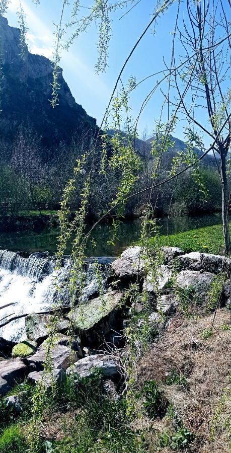 El Corredor En De Gordon